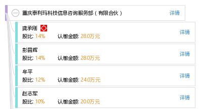 立足專業，服務未來 重慶泰利瑪科技信息咨詢服務部的信息技術咨詢服務